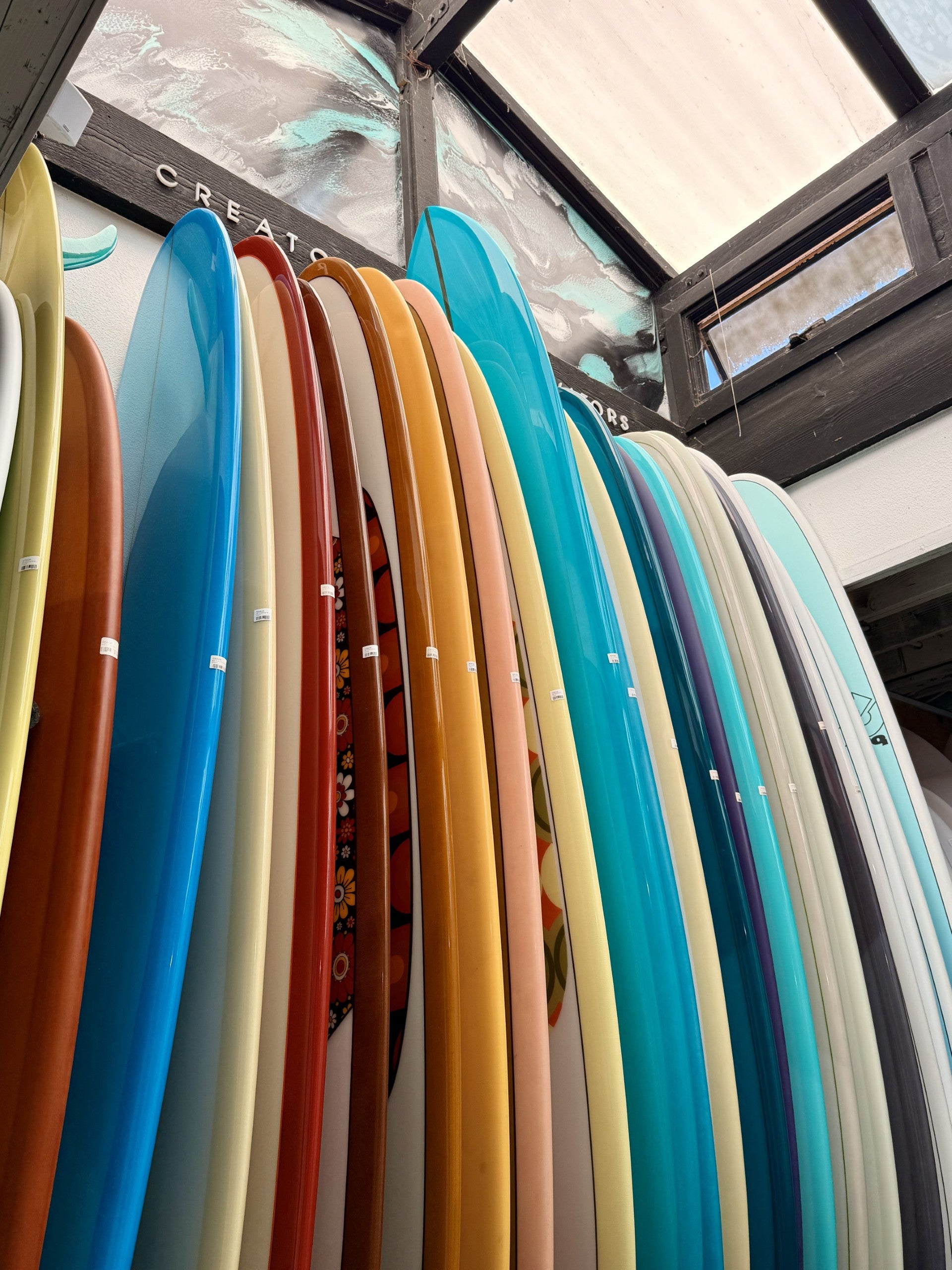 Longboards | Bird Rock Surf Shop
